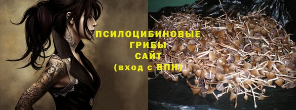 метадон Магас